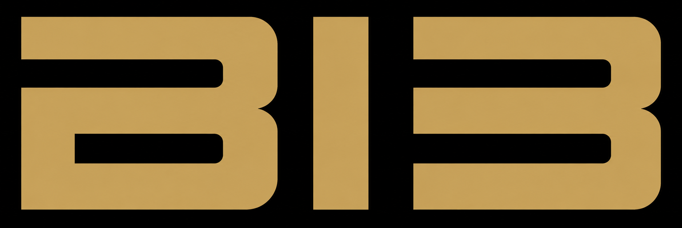 Bi3 Logo